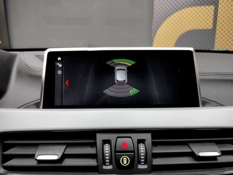 								BMW X2 full									