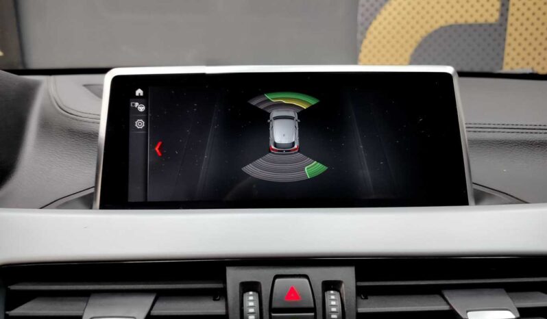 								BMW X2 full									