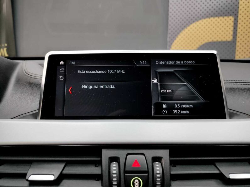 								BMW X2 full									