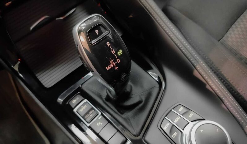 								BMW X2 full									