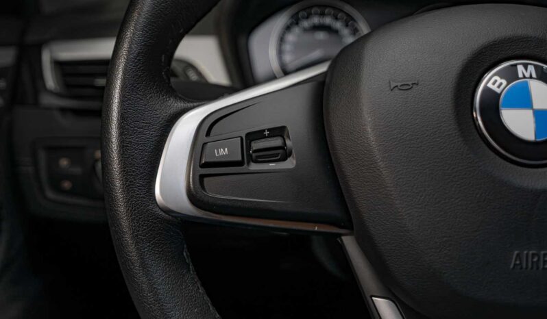								BMW X2 full									