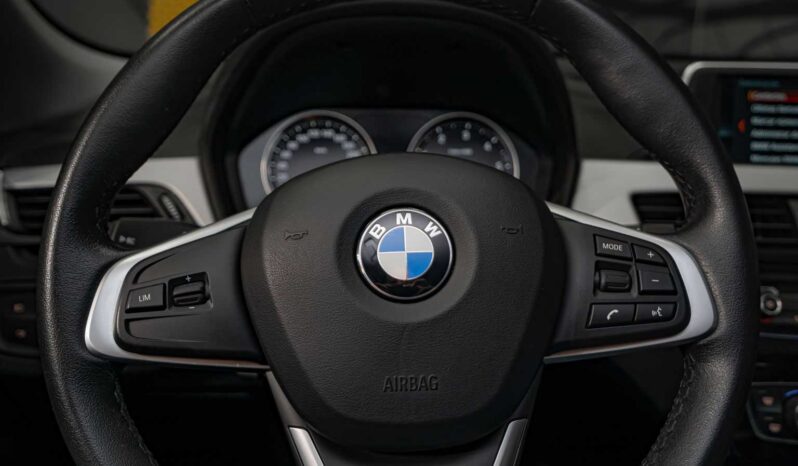 								BMW X2 full									