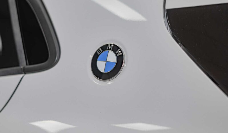 								BMW X2 full									