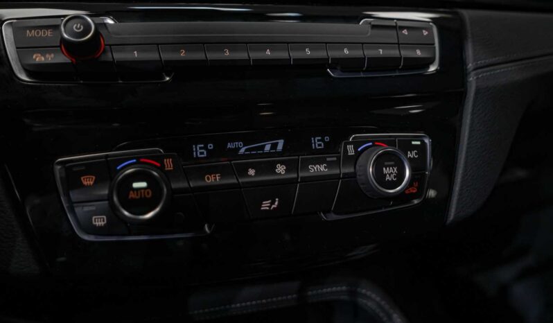								BMW X2 full									