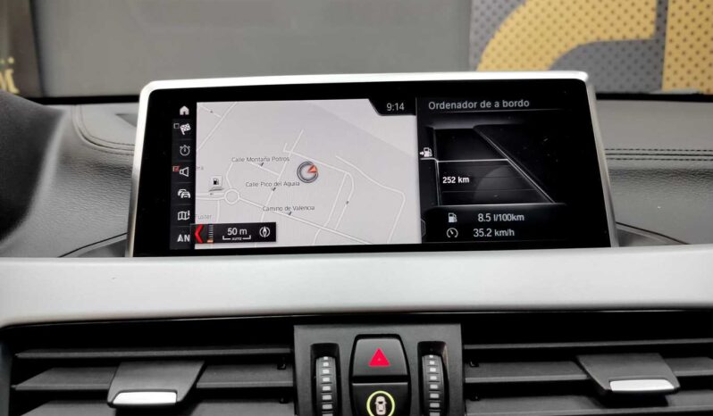 								BMW X2 full									