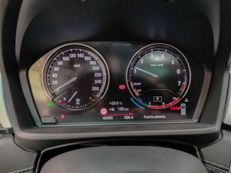 								BMW X2 full									