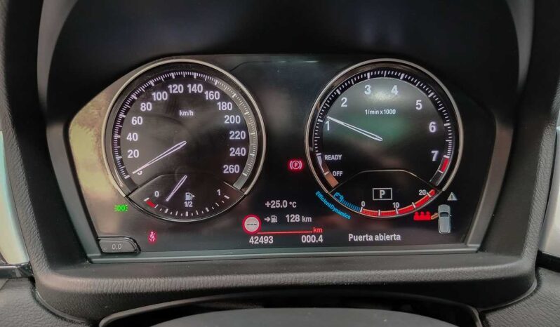 								BMW X2 full									