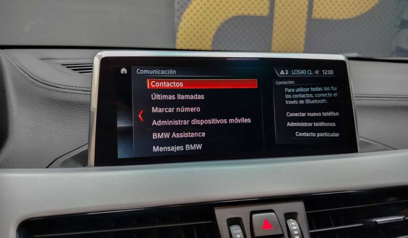 								BMW X2 full									