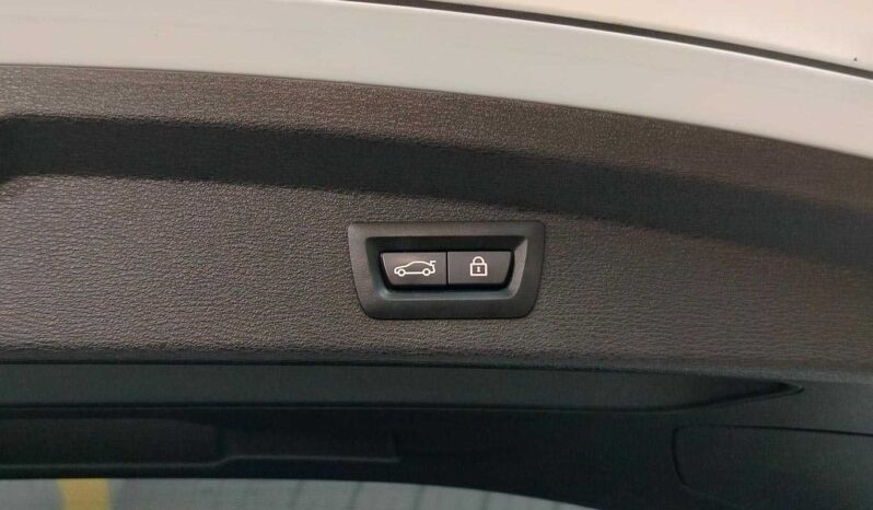 								BMW X2 full									
