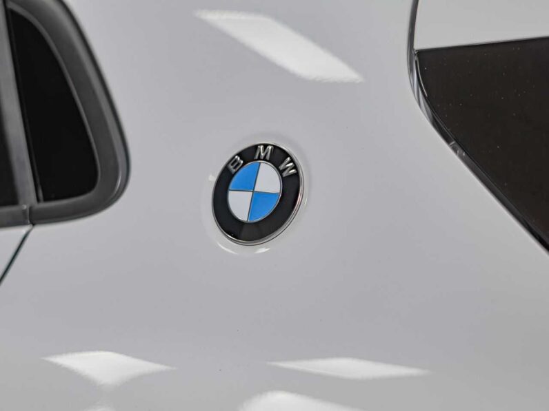 								BMW X2 full									