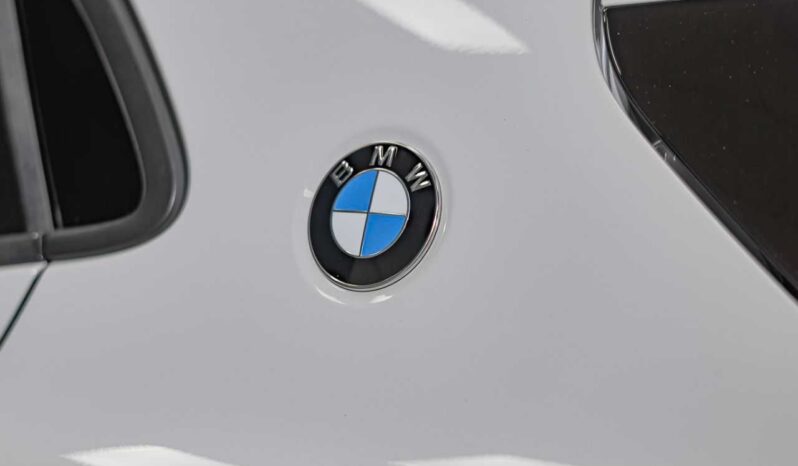 								BMW X2 full									