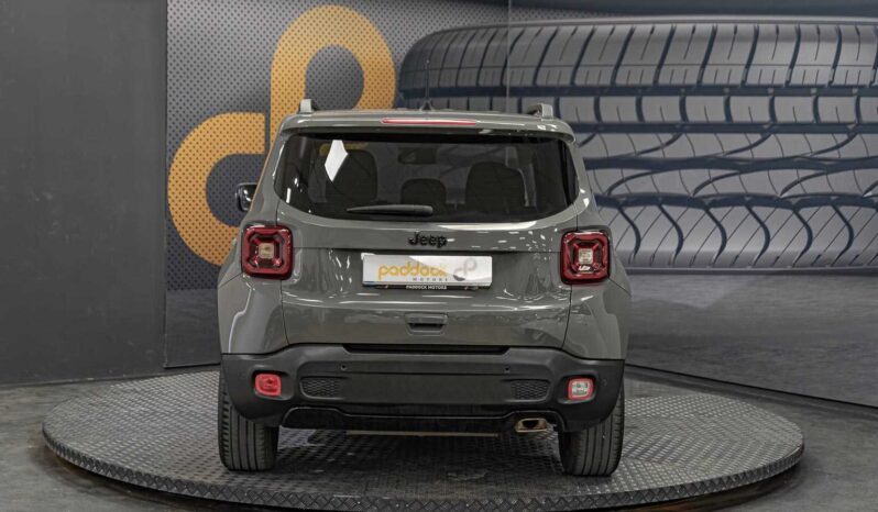 								Jeep Renegade full									