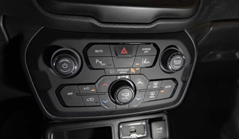 								Jeep Renegade full									