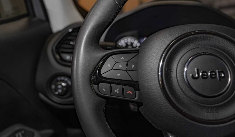 								Jeep Renegade full									