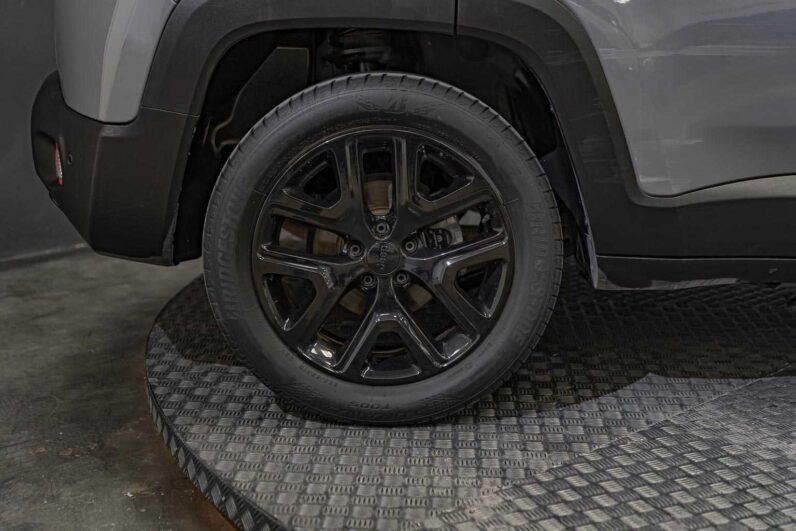 								Jeep Renegade full									