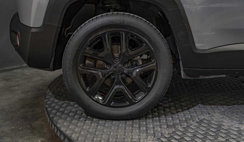 								Jeep Renegade full									