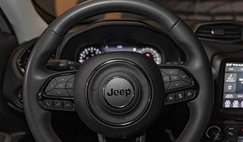 								Jeep Renegade full									