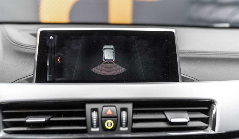								BMW X2 full									