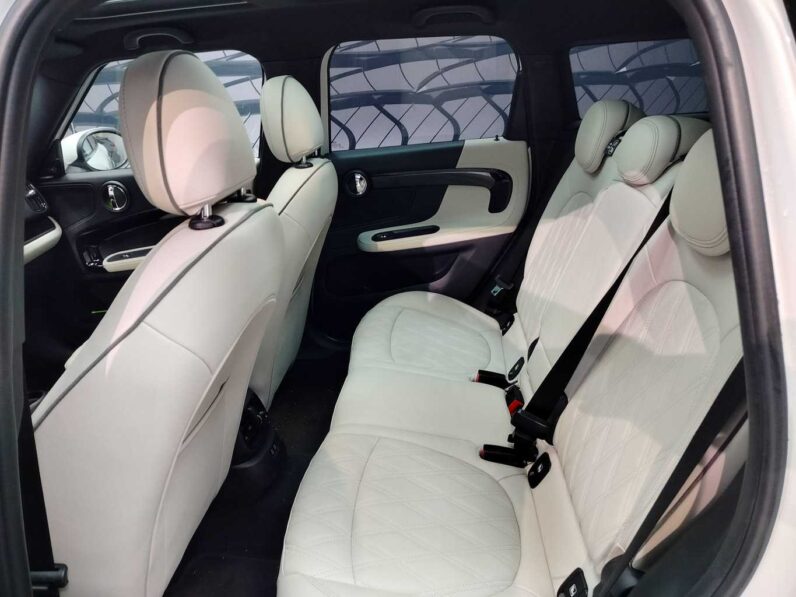 
								Mini Countryman full									