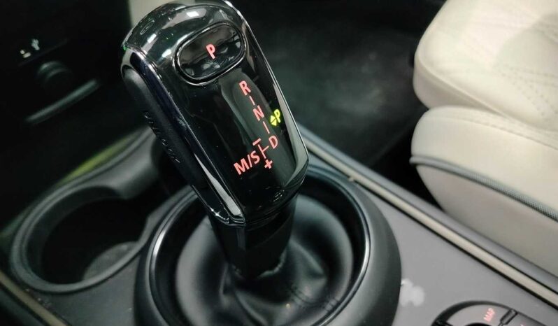
								Mini Countryman full									