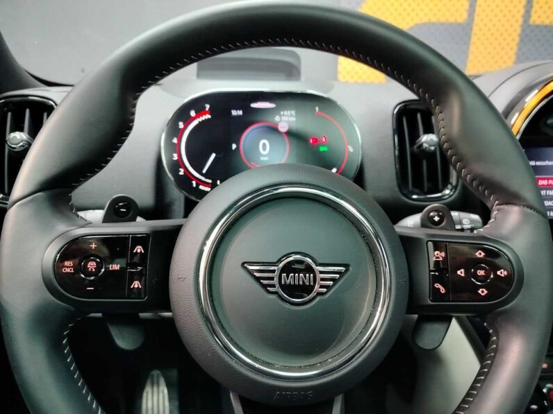 
								Mini Countryman full									