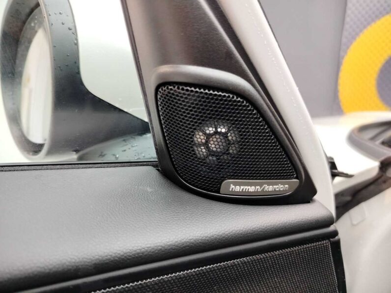 
								Mini Countryman full									