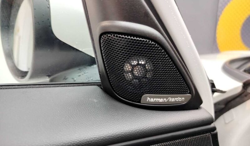 
								Mini Countryman full									