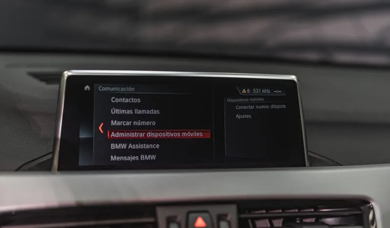 								BMW X1 full									