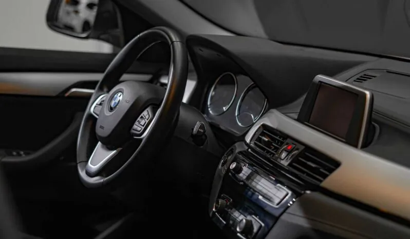 								BMW X2 full									
