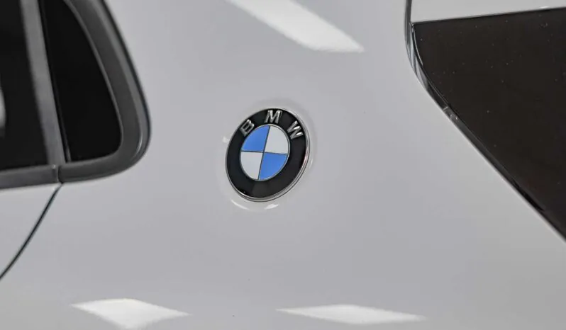								BMW X2 full									