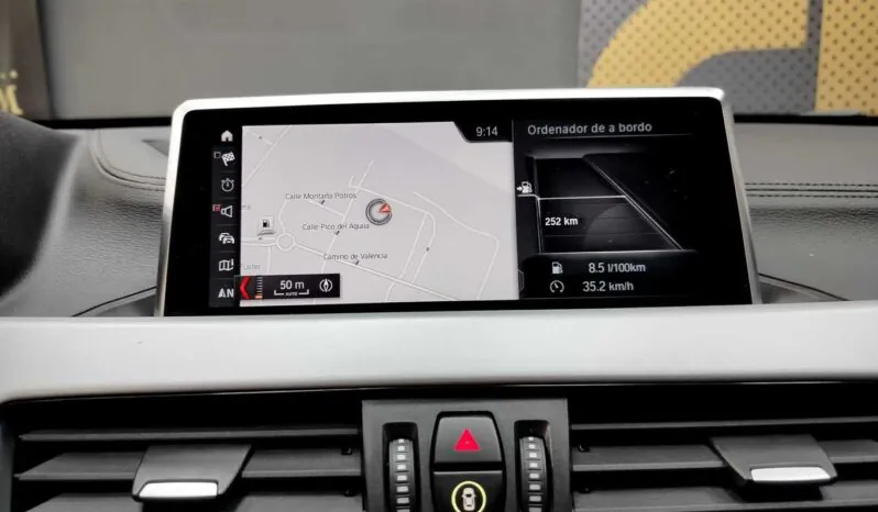 								BMW X2 full									