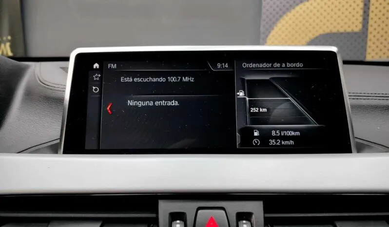 								BMW X2 full									