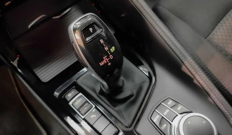 								BMW X2 full									