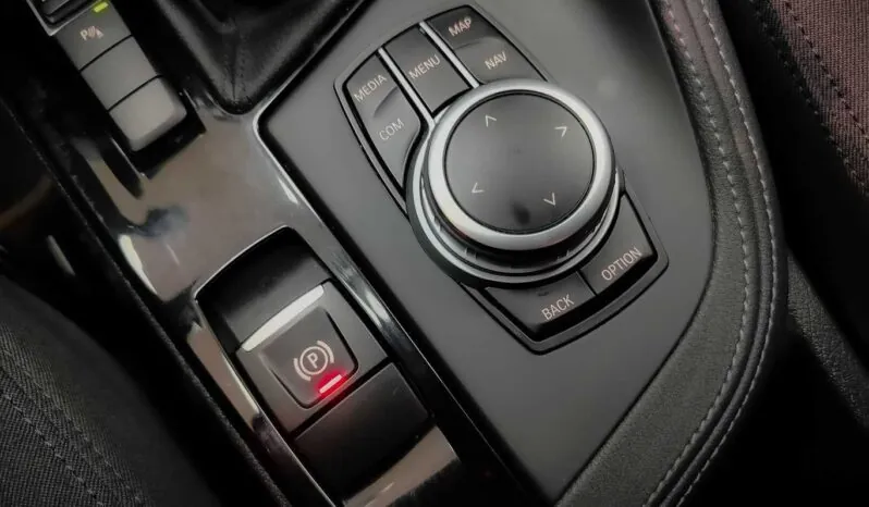 								BMW X2 full									