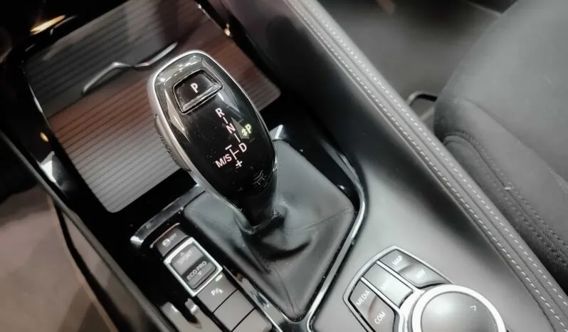 								BMW X2 full									