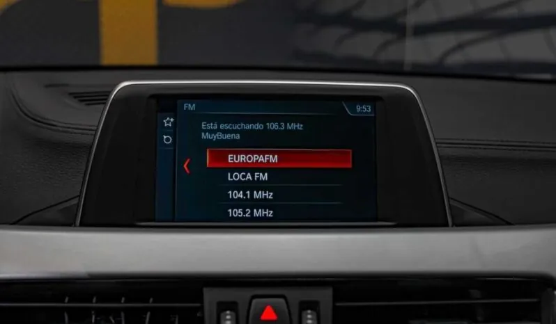 								BMW X2 full									