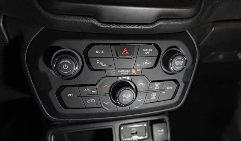 								Jeep Renegade full									