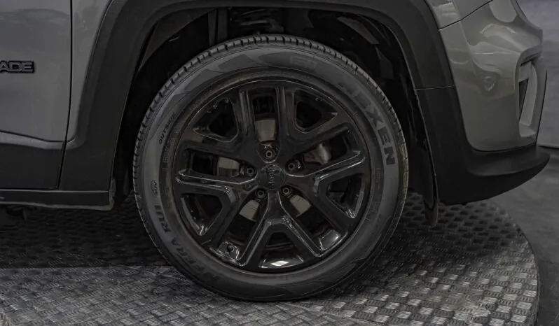 								Jeep Renegade full									