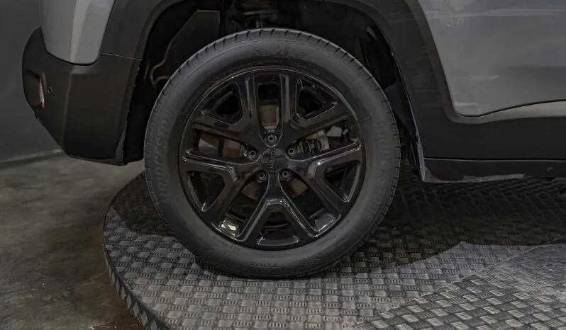 								Jeep Renegade full									