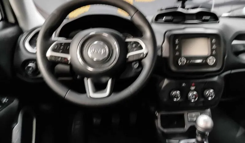								Jeep Renegade full									