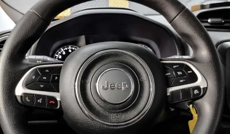 								Jeep Renegade full									